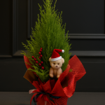 chatgpt image 16 lis 2025, 22 33 02
